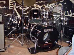 スティーブ・ガッド モデル