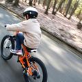 自転車の安全利用促進に関する特別委員会設置が決定 - 富山市議会