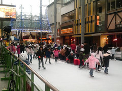 3年目のエコリンク