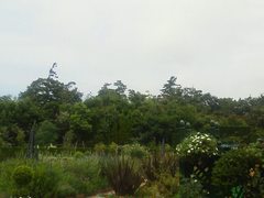 遥か彼方にのぞむ排気筒