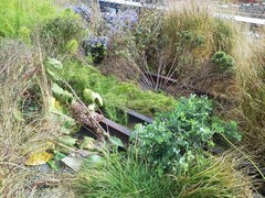 残された線路と枕木