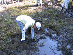 泥上げをする鋪田
