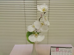 当選祝いのお花