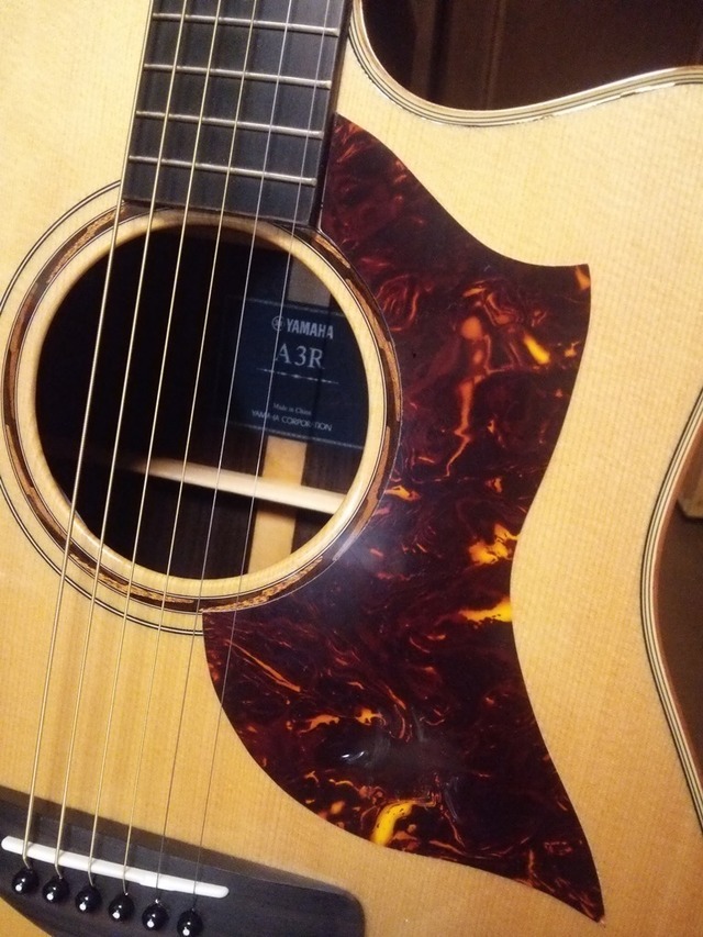 N1000をイメージしたピックガード