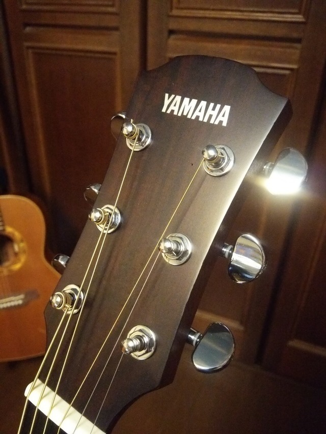 シンプルなヘッド