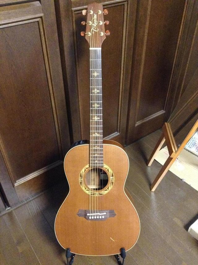 Takamine PSF-95