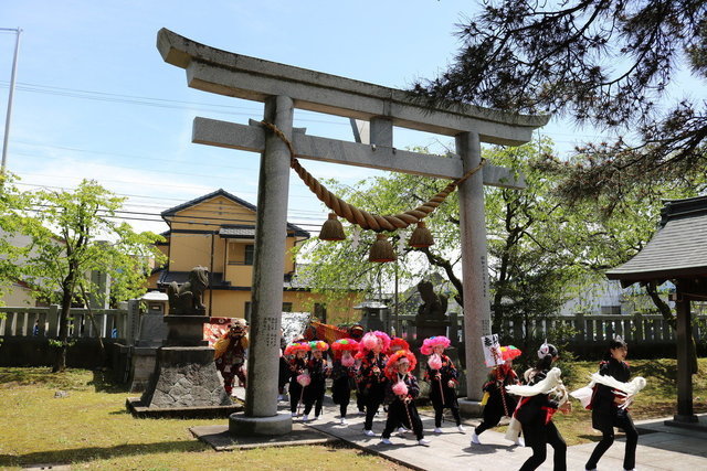 松尾神社に入る獅子舞