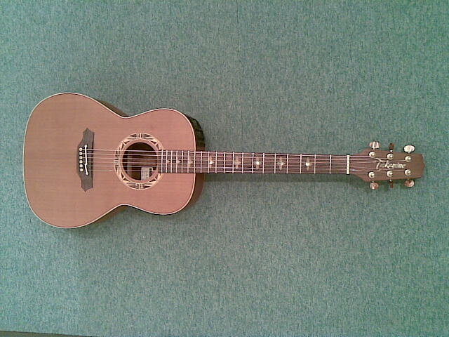 愛器（TAKAMINE SANTAFE PSF-95）