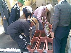 球根の植え付け